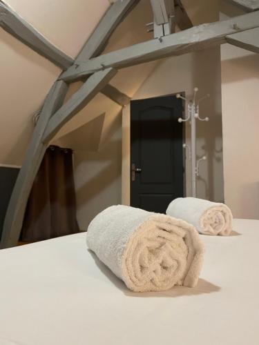 聖艾尼昂的住宿－La Maison des lilas, 5 mn de Beauval，浴室柜台上方的两条毛巾