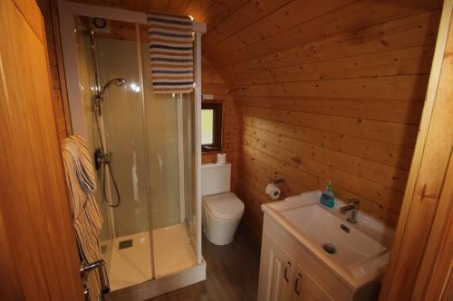 a bathroom with a shower and a toilet and a sink at Carrock Pod, Hayton in Brampton