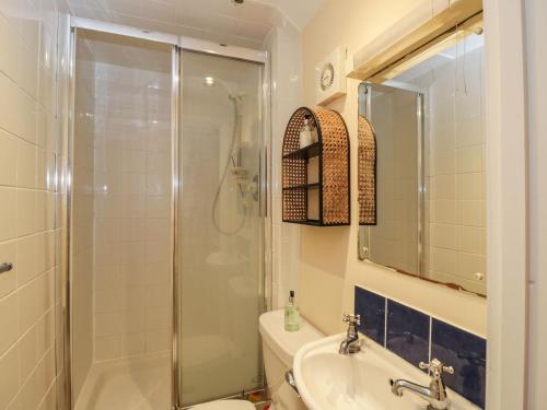 a bathroom with a shower and a sink and a toilet at Beech Cottage in Stroud
