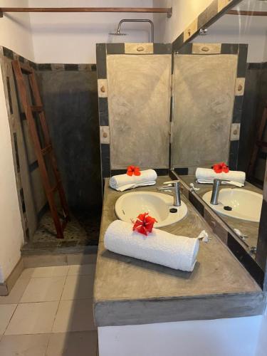 a bathroom with a sink and a mirror at maison vanilianadia in Nosy Be