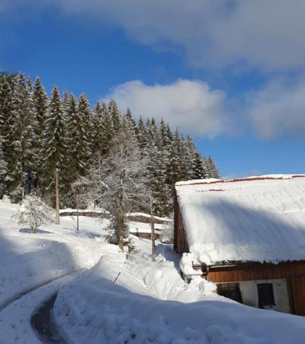 une grange recouverte de neige à côté d'une route dans l'établissement La Ferme du Badon, à Gérardmer