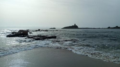 Zebiba – Photos 2