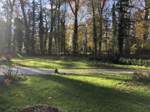 a park with a dog sitting in the grass at La Ferme du Château in Beire-le-Châtel