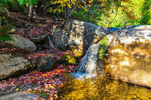 Sunday Dream – Photos 5