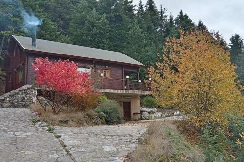 a log cabin with a stone path in front of it at Rados chalet in Rádhos