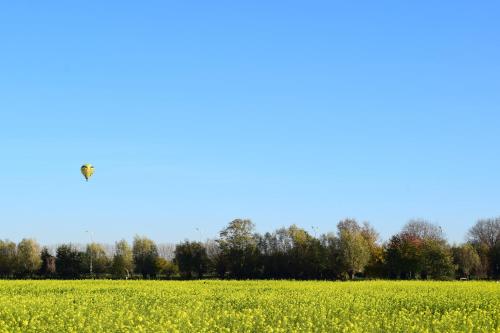 Afbeelding uit fotogalerij van B&B Houten Huis in Nazareth