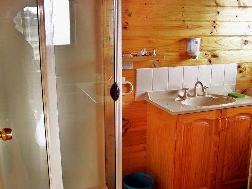 a bathroom with a shower and a sink at Coles Bay House in Coles Bay