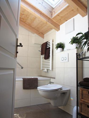 a bathroom with a toilet and a bath tub at Ferienwohnung Schrödel in Aschau im Chiemgau