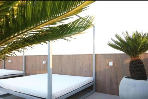 a room with two beds and a palm tree at Cabo Frio - Loft Premium Royalle in Cabo Frio