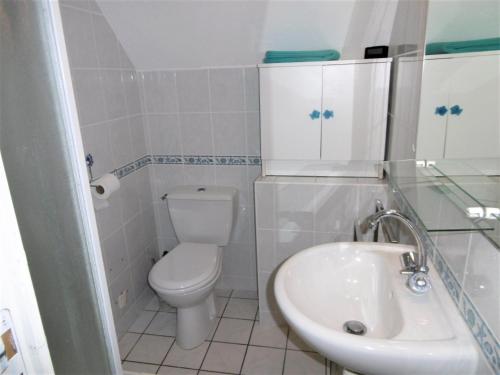une petite salle de bain avec toilettes et lavabo dans l'établissement Maisonnette Youenn, à Sarzeau