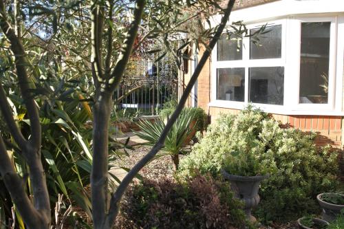 a garden with plants in front of a house at Apsley Guest Rooms in Hemel Hempstead