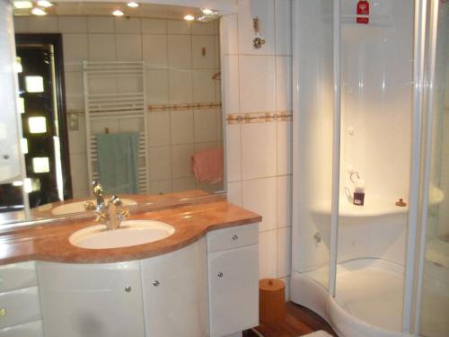 y baño con lavabo y ducha. en Maison Barbarenekoborda, en Villefranque