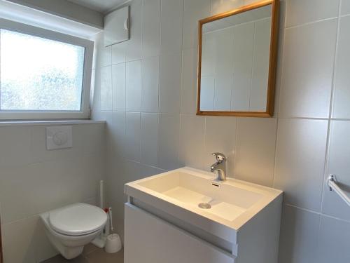 une salle de bain avec un lavabo, des toilettes et un miroir dans l'établissement Charmante maison en pierre à Été, proche mer, plages, sentiers côtiers, idéale pour 2 personnes - FR-1-397-16, à Étel