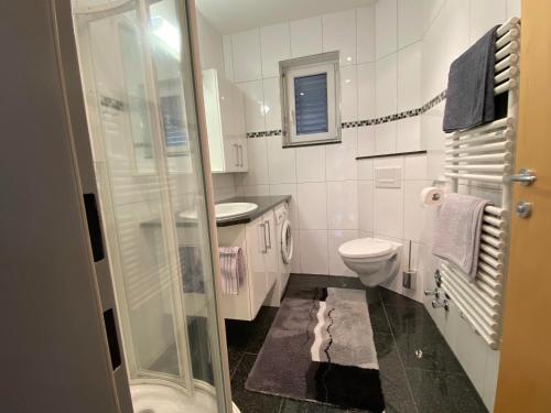 ein Bad mit einer Dusche, einem WC und einem Waschbecken in der Unterkunft Haus Wieser in Sankt Gallenkirch
