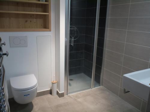 une salle de bain avec une douche, des toilettes et un lavabo dans l'établissement Confort et modernité: Appartement 60m² pour 4 personnes avec balcon, WIFI, proche du centre et pistes. - FR-1-198-164, à Châtel