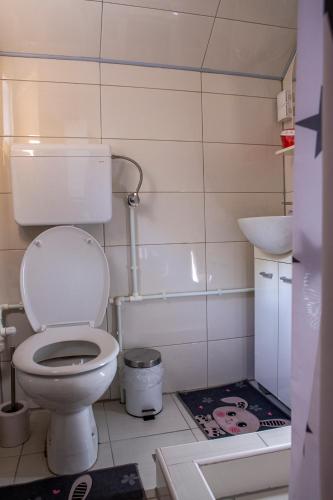 a small bathroom with a toilet and a sink at Apartmani Rocen in Žabljak