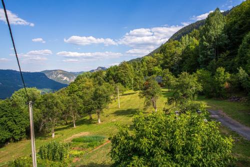 a view of a valley with trees on a hill at Apartmani Rocen in Žabljak