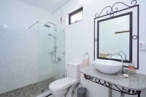 a bathroom with a sink and a toilet and a mirror at Cosy Studio #2 - Pereybere in Pereybere