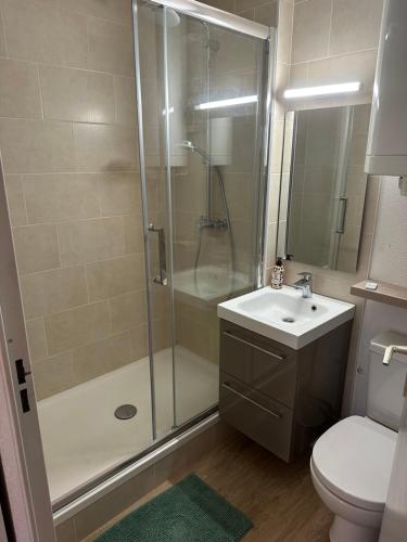 La salle de bains est pourvue d'une douche, d'un lavabo et de toilettes. dans l'établissement 2 Pieces acces Mer et Thalasso, à Cabourg