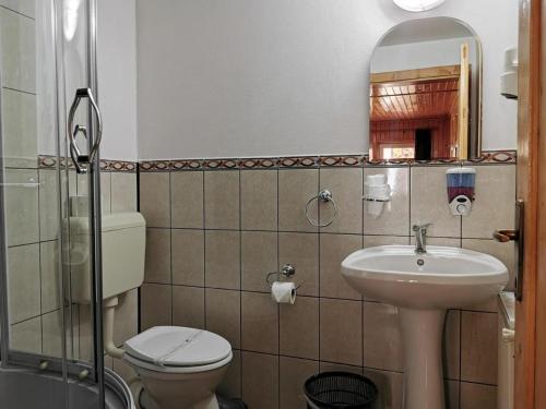La salle de bains est pourvue d'un lavabo, de toilettes et d'un miroir. dans l'établissement Pensiunea Valea Cetatii, à Râșnov