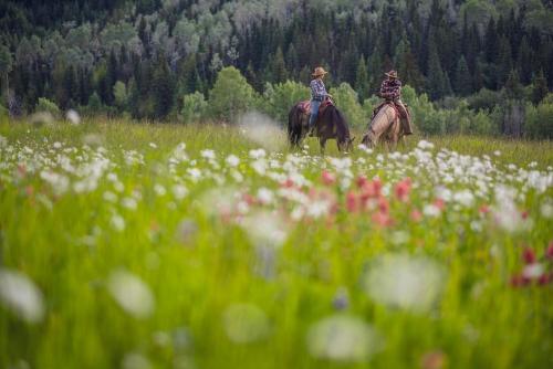 two people riding horses in a field of flowers at Montana Hill Guest Ranch in Bridge Lake