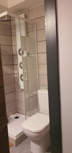 een badkamer met een toilet en een douche bij Duplex Aiguille du midi CHAMONIX in Chamonix-Mont-Blanc