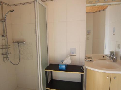 een badkamer met een wastafel en een douche bij Maison L'Île-d'Olonne, 4 pièces, 5 personnes - FR-1-197-297 in LʼÎle-dʼOlonne