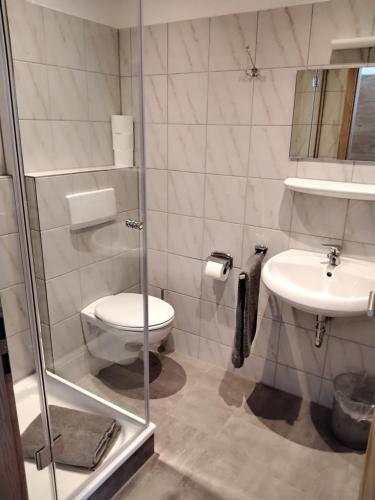 a bathroom with a toilet and a sink at Zum Schulhaus in Burglengenfeld