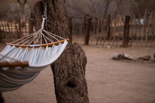 a hammock hanging from a tree in a park at Kay El Bar Guest Ranch in Wickenburg