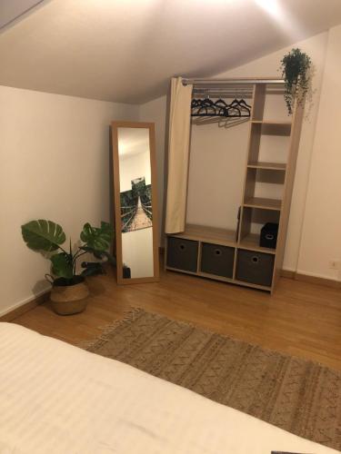 a bedroom with a bed and a mirror and a plant at Le 41 Carnot in Poitiers