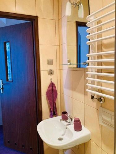 a bathroom with a sink and a mirror and a door at Dworek Ewunia in Wisła
