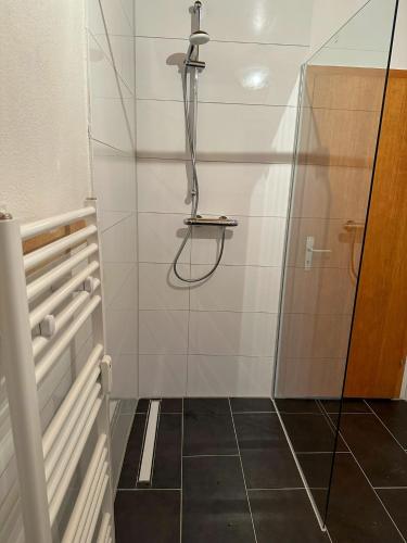 a shower with a glass door in a bathroom at bee Apartment: Ideal für Gruppen & Monteure in Lahnau