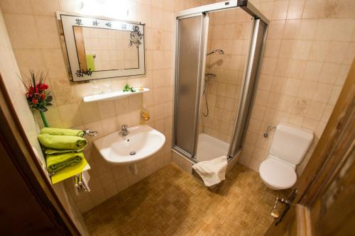 a bathroom with a sink and a shower and a toilet at Europa Pension Tirol in Fliess
