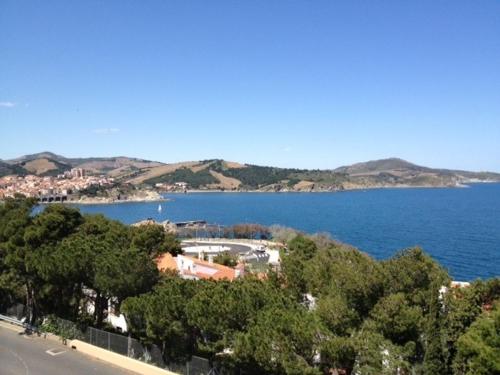 Appartement Banyuls-sur-Mer, 2 pieces, 4 personnes - FR-1-309-59