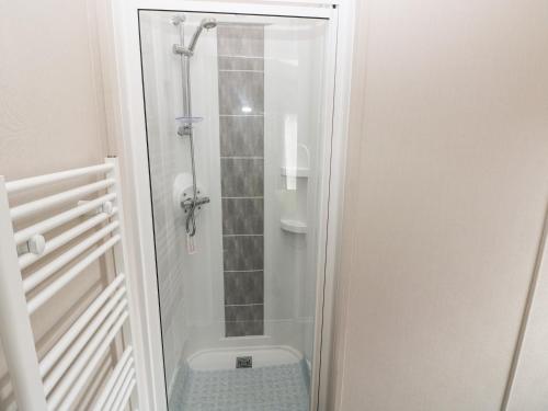 a bathroom with a shower with a toilet in it at Ramsey in Haverfordwest