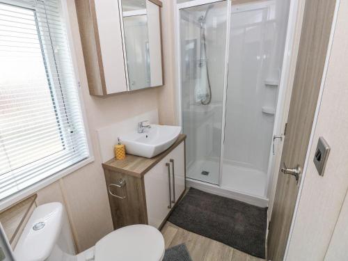 a bathroom with a toilet and a sink and a shower at Seahorse Retreat in Haverfordwest