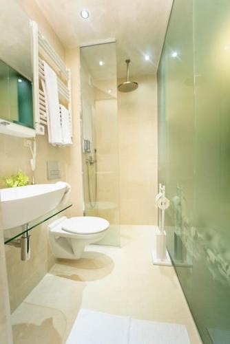 a bathroom with a toilet and a sink and a shower at Secluded Mountain Cozy Studio with Fireplace in Bansko