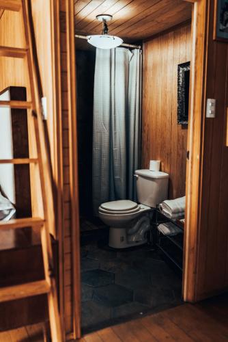 a bathroom with a toilet and a shower at Woodland Cabins in Santa Ana Jilotzingo