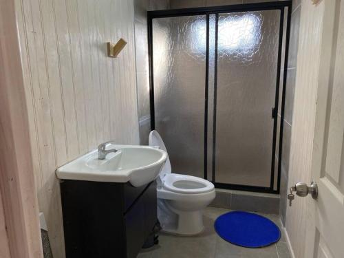 a bathroom with a toilet and a sink and a shower at Cabaña acogedora en Navidad in Navidad
