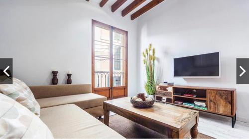a living room with a couch and a tv at Hotel-Apartment Modern Studio in Palma de Mallorca