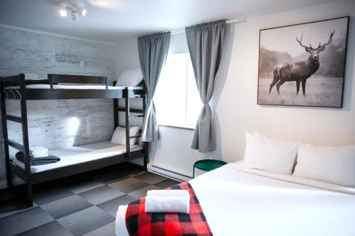 a bedroom with a bunk bed with a deer on the wall at Auberge Manitonga in Mont-Tremblant