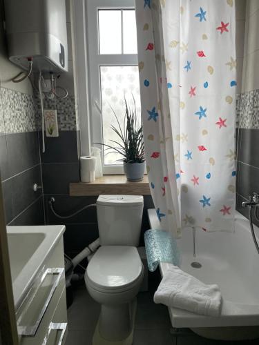 La salle de bains est pourvue de toilettes, d'un lavabo et d'une fenêtre. dans l'établissement Mieszkanko Karpacz, à Karpacz