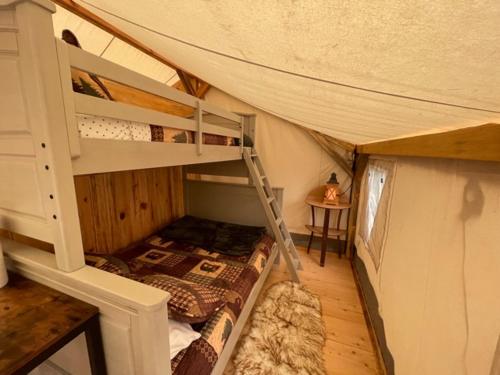 a small room with a bunk bed and a ladder at Umpqua's Last Resort - Wilderness Cabins, RV Park & Glamping in Idleyld Park