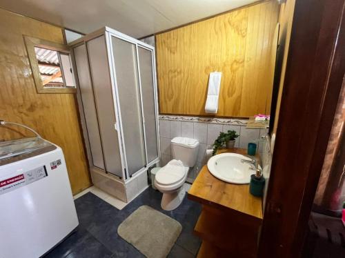 La petite salle de bains est pourvue de toilettes et d'un lavabo. dans l'établissement Cabañas "El Cazador", à Futaleufú