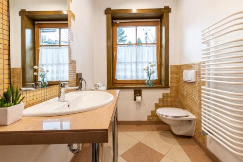 a bathroom with a sink and a toilet at Apartamenty Panorama in Kościelisko