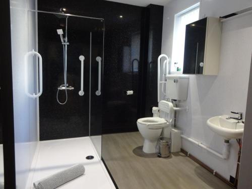 a bathroom with a shower and a toilet and a sink at Dandy Lodge, Bowness-on-Solway in Bowness-on-Solway