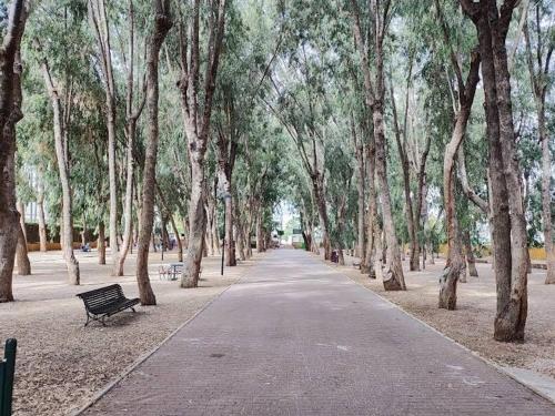 a park with a bench in the middle of a tree lined road at JR apartment albir in Albir
