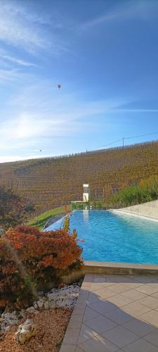 a swimming pool in the middle of a field at Sogno in Langa in Monforte dʼAlba