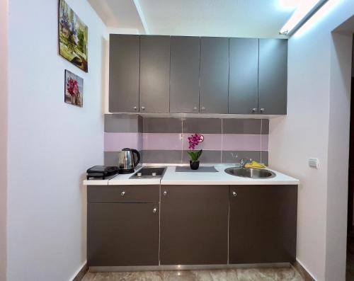 uma cozinha com armários castanhos e um lavatório em Apartman GM - sobe em Pale