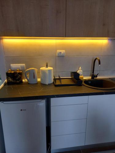 a kitchen counter top with a sink and a sink at Welcome Apartments in Niš